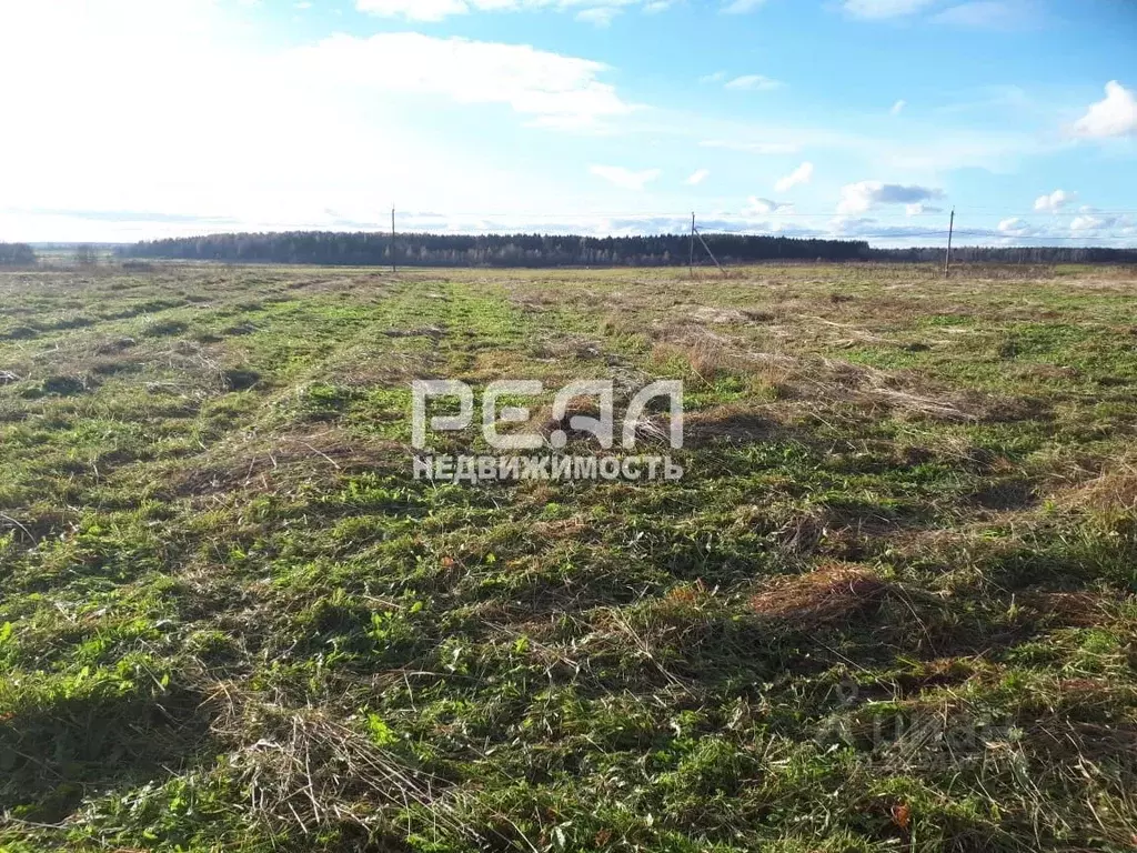 Участок в Ленинградская область, Гатчинский муниципальный округ, д. ... - Фото 1