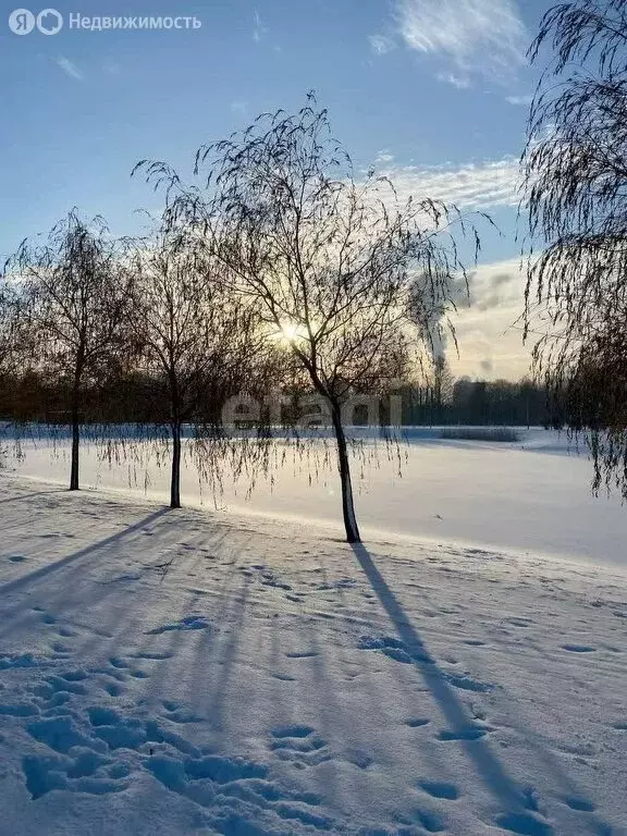 Участок в Усть-Абаканский район, аал Тутатчиков (6100 м) - Фото 1
