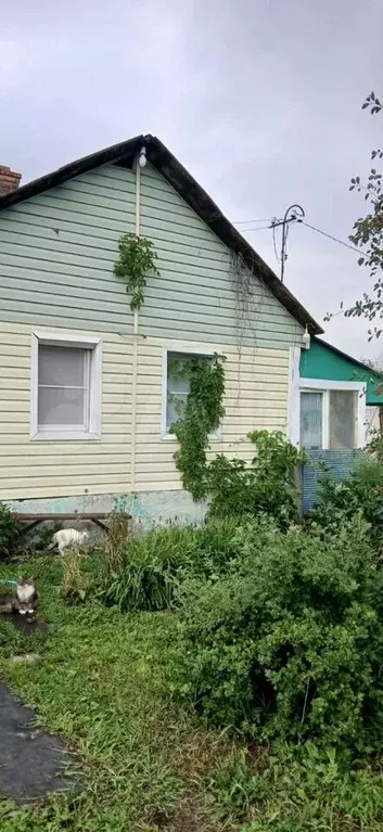 Дом 34,5 м на участке 19,2 сот. - Фото 0