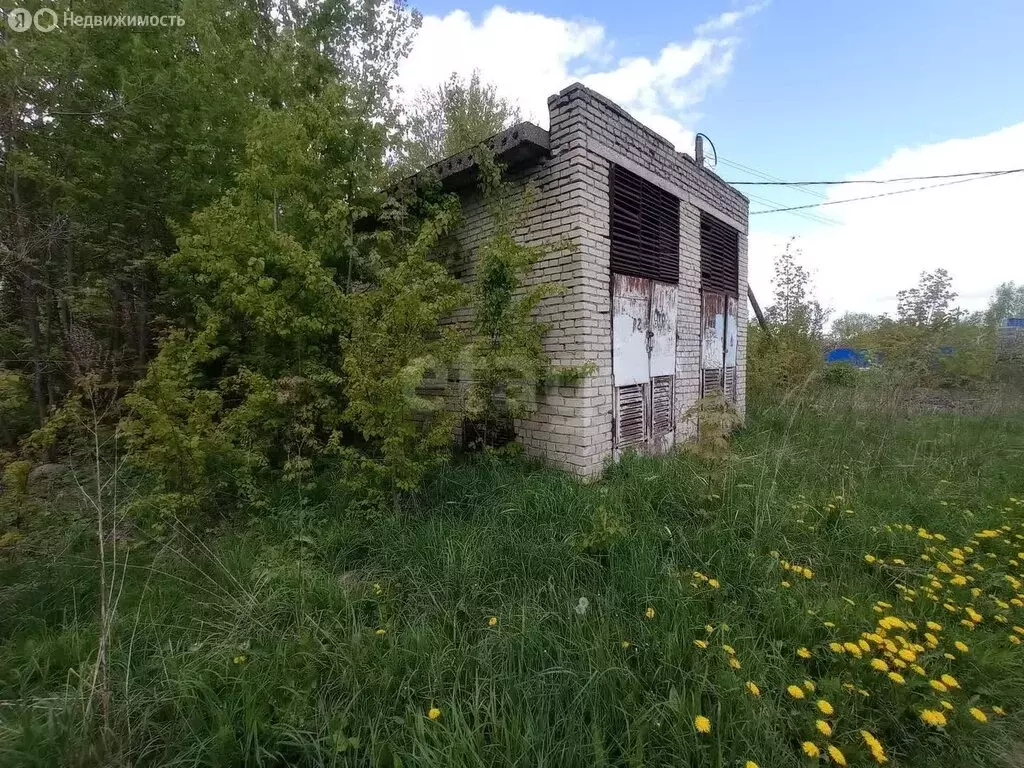 Помещение свободного назначения (35.8 м) - Фото 2