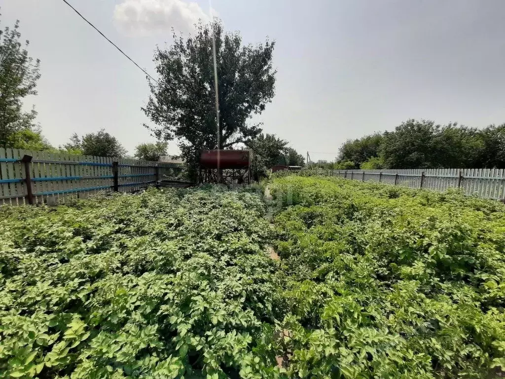 Купить Дачу В Благовещенске Амурской Области