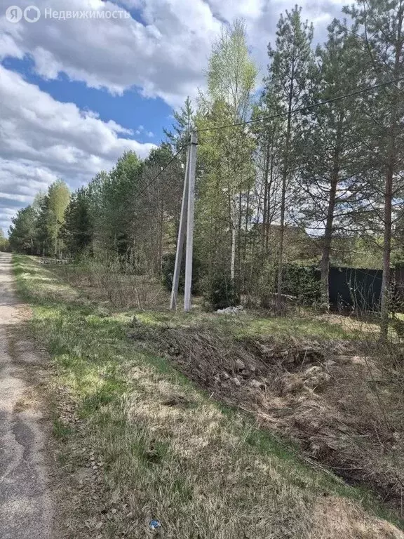Участок в Ярославская область, Угличский муниципальный округ, деревня ... - Фото 2