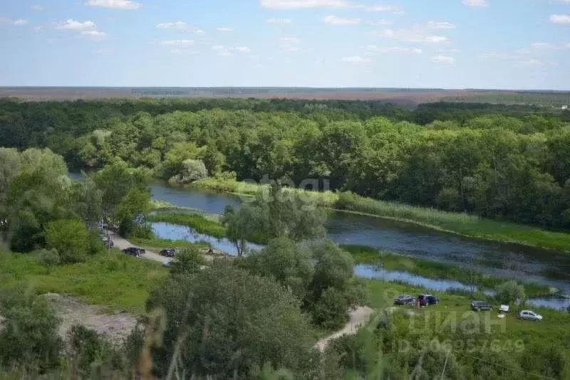 Участок в Липецкая область, Хлевенский район, Малининский сельсовет, ... - Фото 0