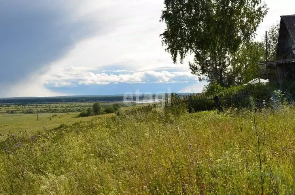 Участок в Коми, Сыктывдинский район, Палевицы муниципальное ... - Фото 0