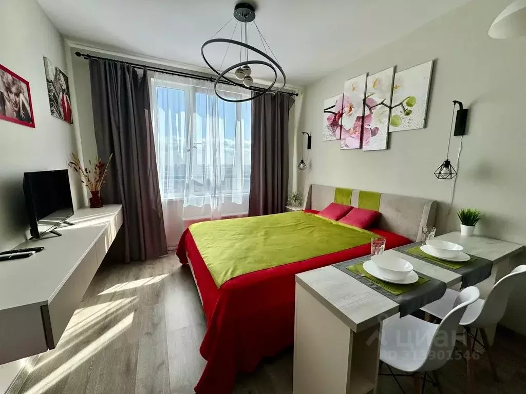 Студия Санкт-Петербург Витебский просп., 99к1 (27.0 м) - Фото 0