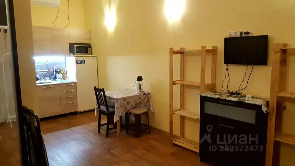 Студия Крым, Евпатория городской округ, Заозерное пгт ул. Аллея ... - Фото 1