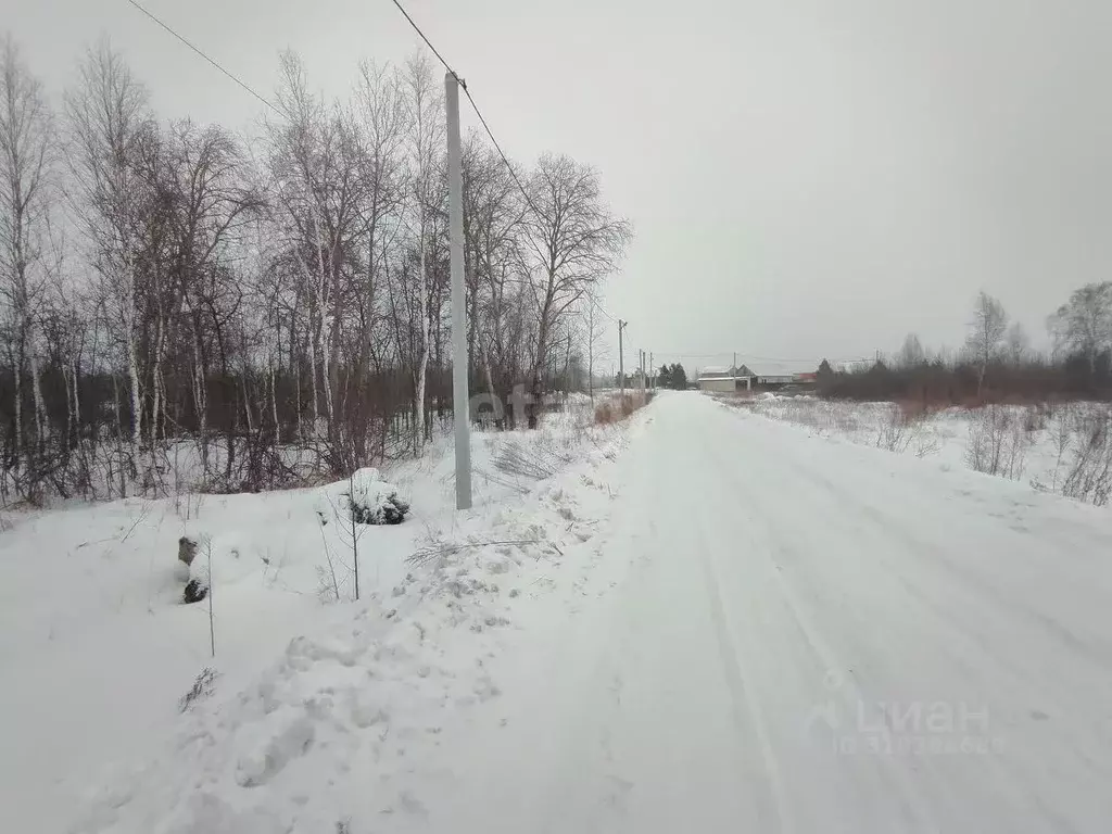 Участок в Курганская область, Шадринск ул. Заговеньева, 19 (10.0 сот.) - Фото 2