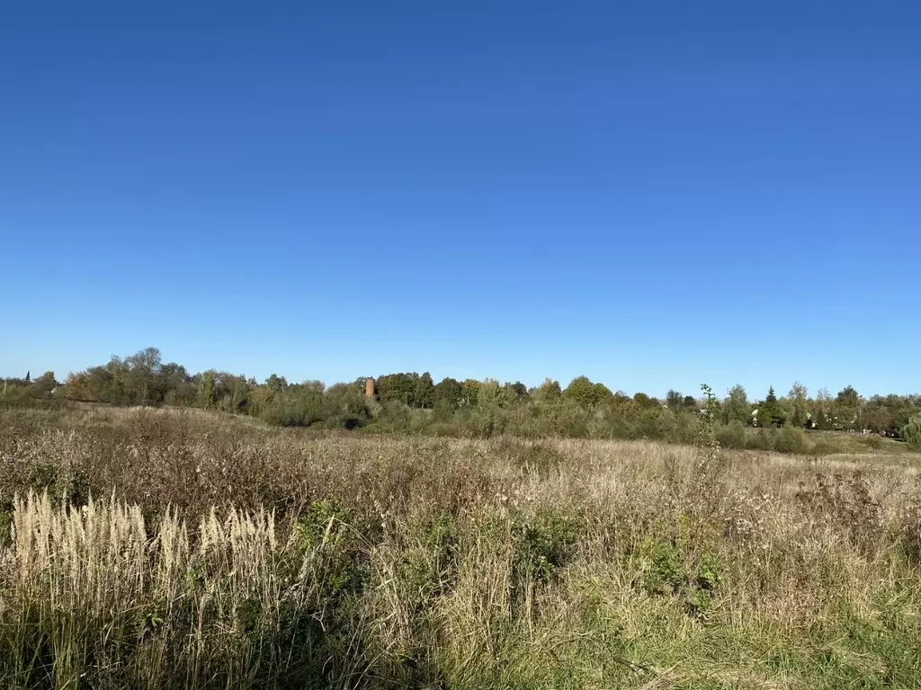 Участок в Московская область, Луховицы муниципальный округ, д. ... - Фото 2