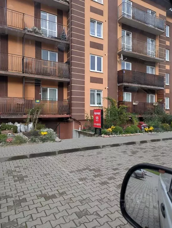 Помещение свободного назначения в Калининградская область, ... - Фото 2