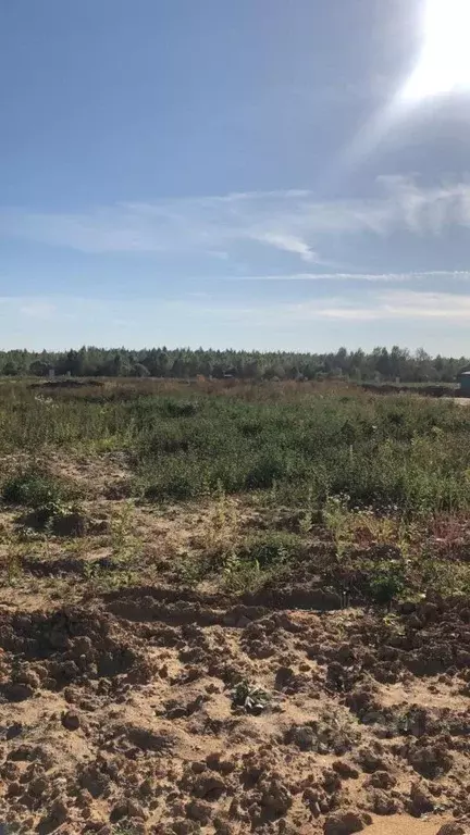 Участок в Москва Фаворит кп, 13 (4.85 сот.) - Фото 2