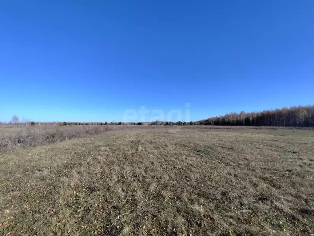 Участок в Курганская область, Кетовский муниципальный округ, ... - Фото 1