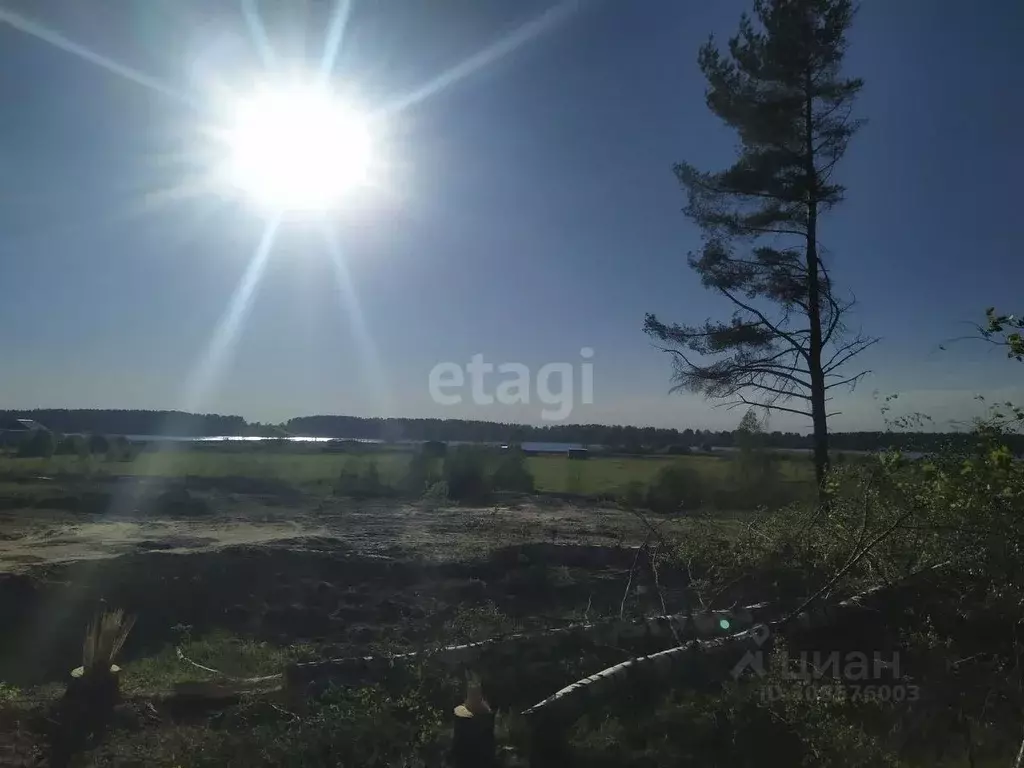 Помещение свободного назначения в Ярославская область, Некрасовское ... - Фото 1