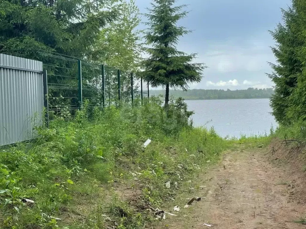 Участок в Ярославская область, Некрасовское с/пос, Волжская Дубрава кп ... - Фото 1