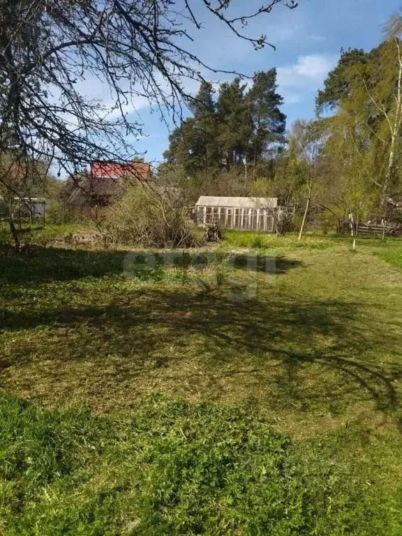 Участок в Ленинградская область, Всеволожск 2-я линия, 9 (8.74 сот.) - Фото 2