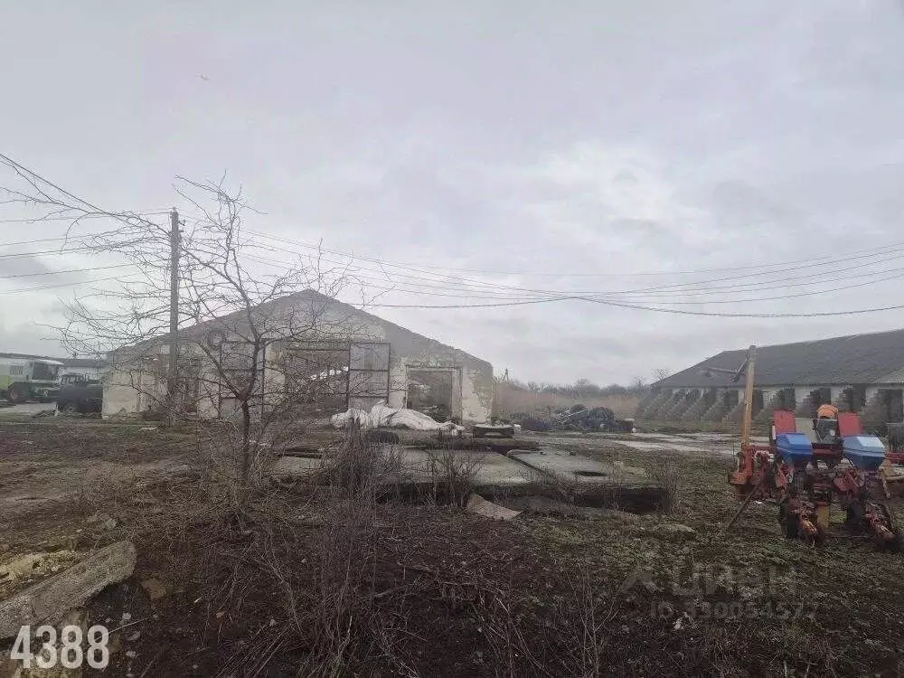 Помещение свободного назначения в Краснодарский край, Северский район, ... - Фото 2