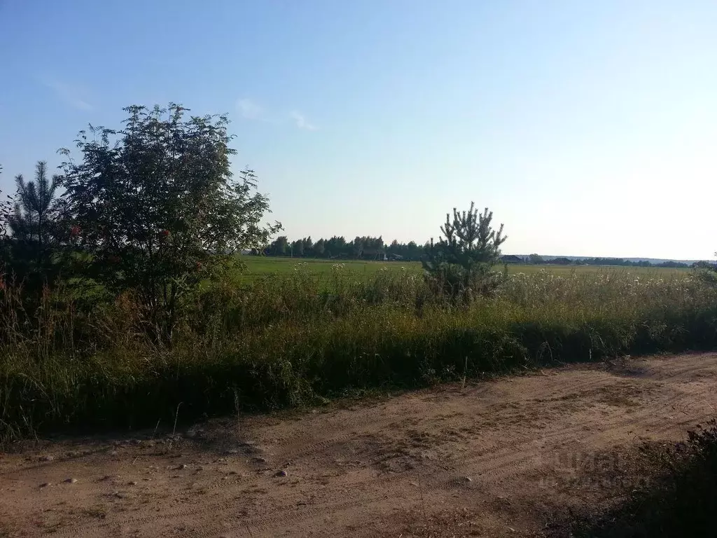 Участок в Ленинградская область, Приозерский район, Плодовское с/пос, ... - Фото 1