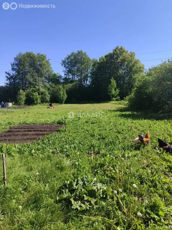 Участок в Уфа, микрорайон Романовка, улица Кустарёво, 20А (10 м) - Фото 0