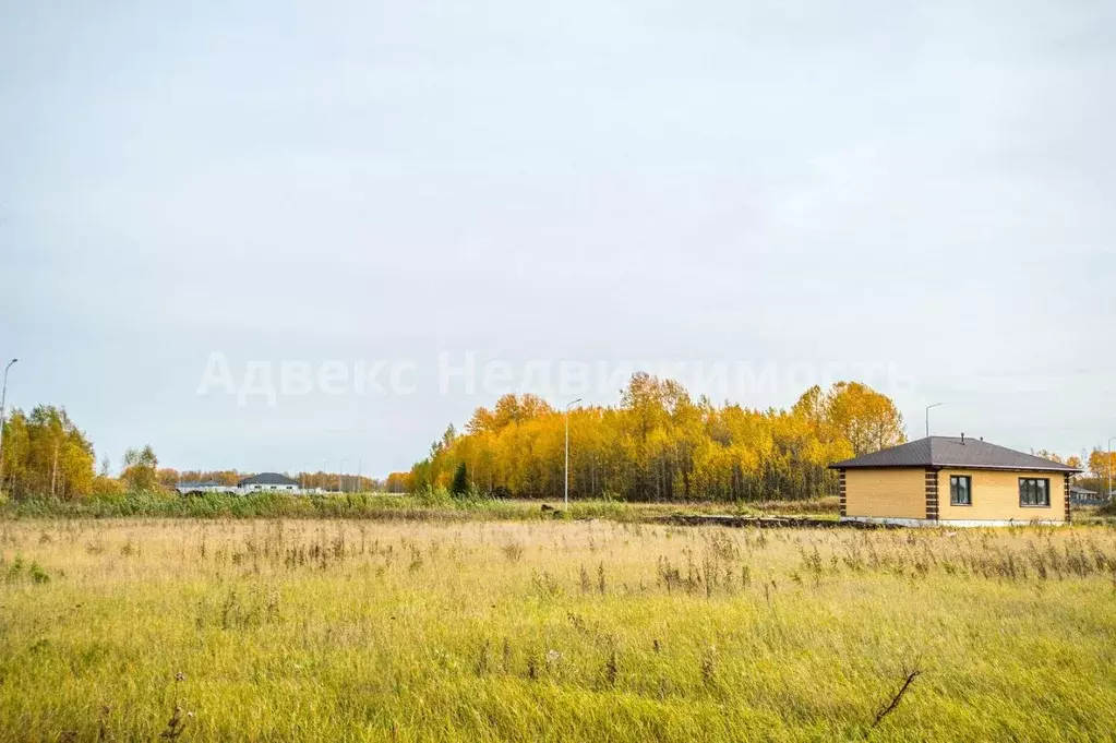 Участок в Тюменская область, Тюменский район, Новокаменский кп ул. ... - Фото 0