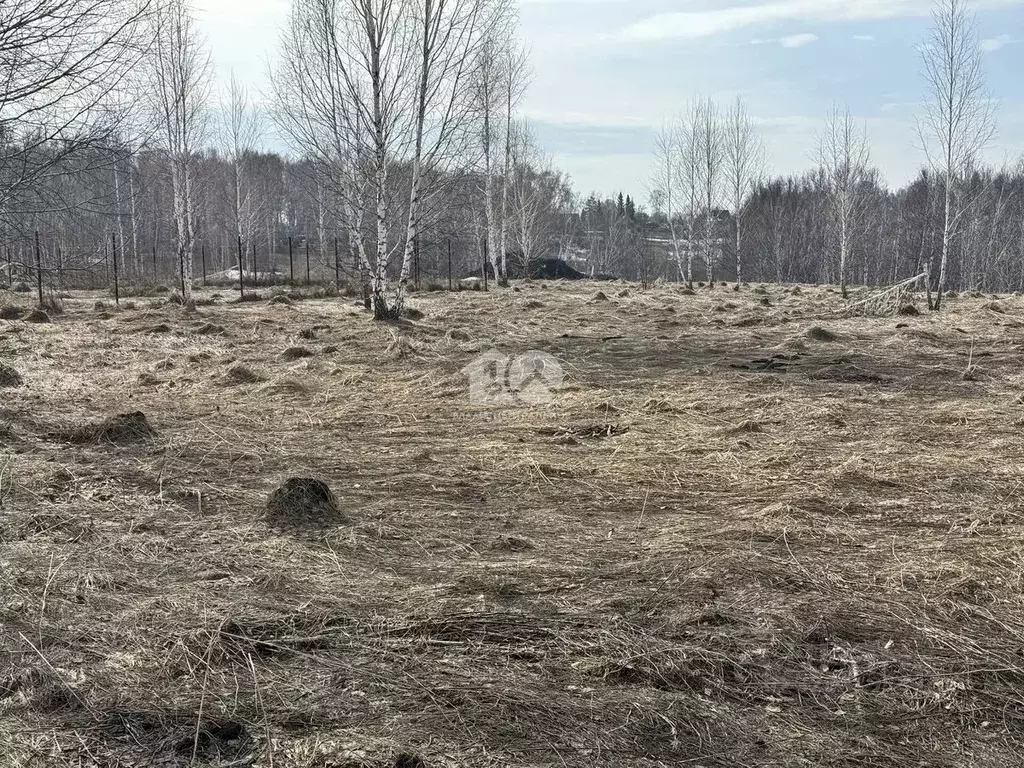 Участок в Новосибирская область, Новосибирский район, Станционный ... - Фото 2