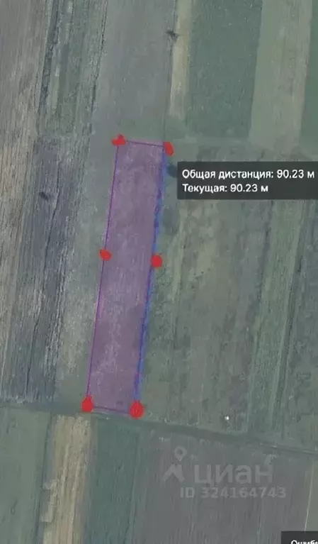 Участок в Нижегородская область, Арзамас городской округ, д. Забелино  ... - Фото 2