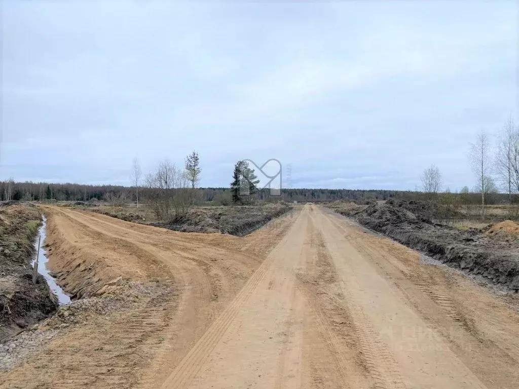 Участок в Ленинградская область, Всеволожск  (9.73 сот.) - Фото 1
