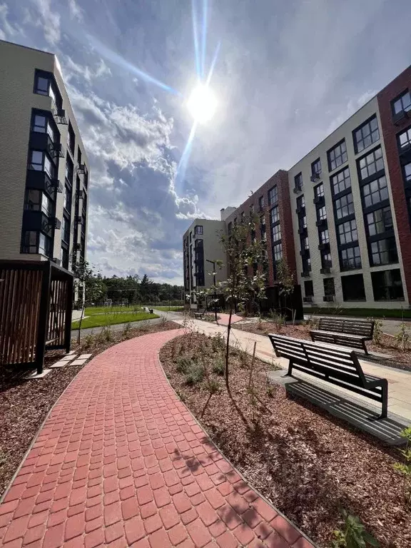 2-к кв. Самарская область, Тольятти ул. 40 лет Победы, 31Б (52.0 м) - Фото 2