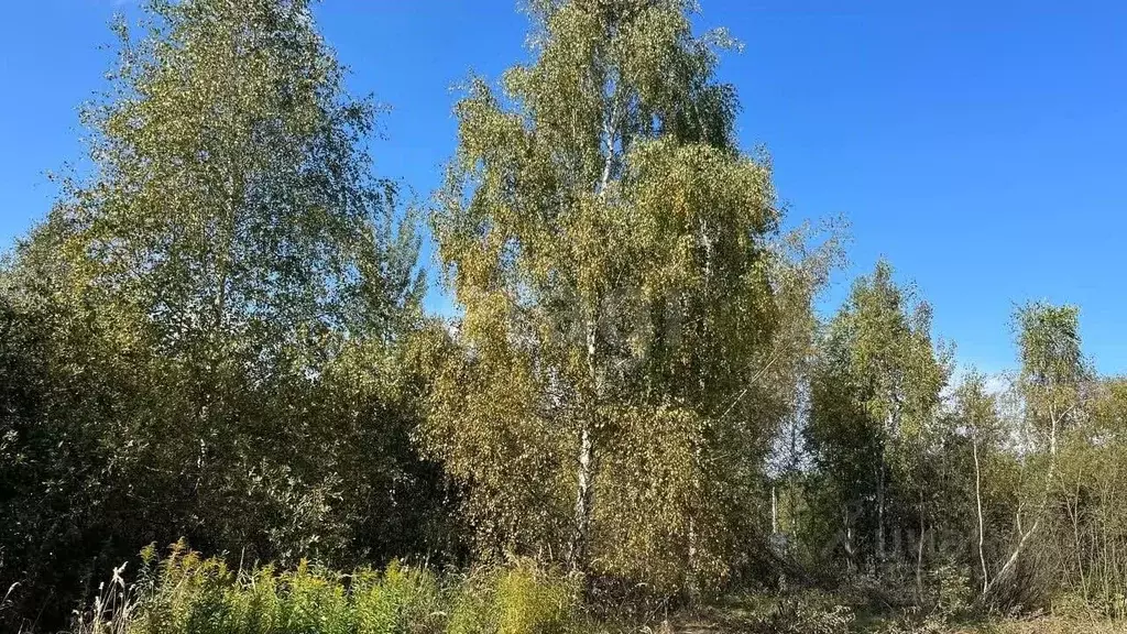 Участок в Москва Европейская долина-2 ДНП, пер. 4-й Двинский, 14 ... - Фото 0