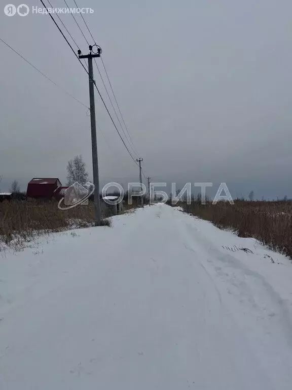 Участок в Тюмень, садовое товарищество Поле Чудес, Зелёная улица (9.8 ... - Фото 1