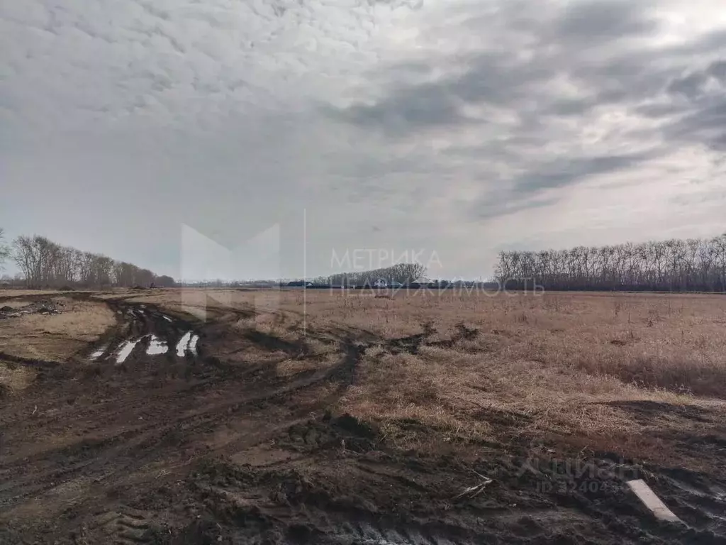 Участок в Тюменская область, Тюмень  (7.0 сот.) - Фото 2