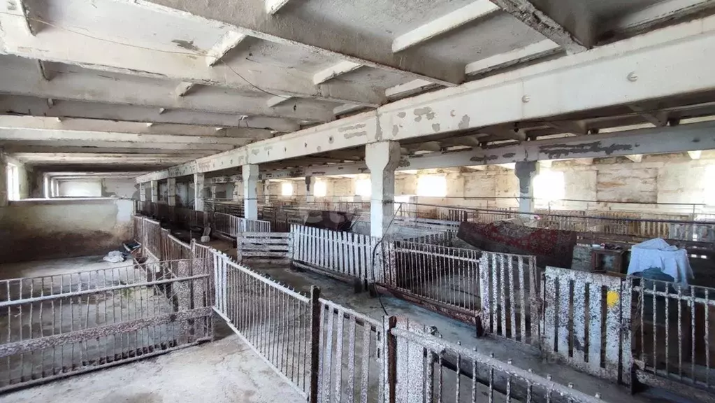 Склад в Крым, Белогорский район, Русаковское с/пос, с. Луговое ул. ... - Фото 2