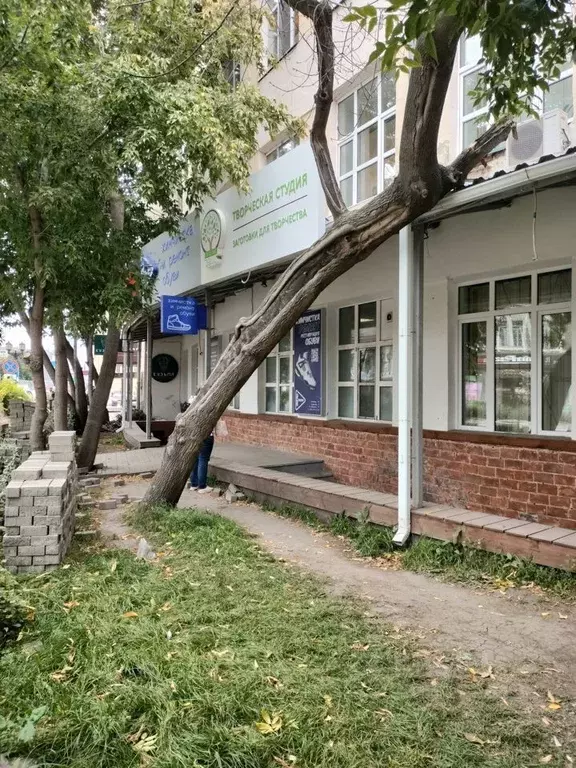 торговая площадь в свердловская область, екатеринбург ул. вайнера, 55 . - Фото 1