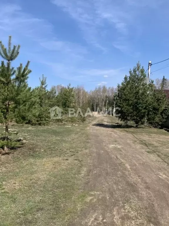 Участок в Владимирская область, Судогодский район, Лавровское ... - Фото 1