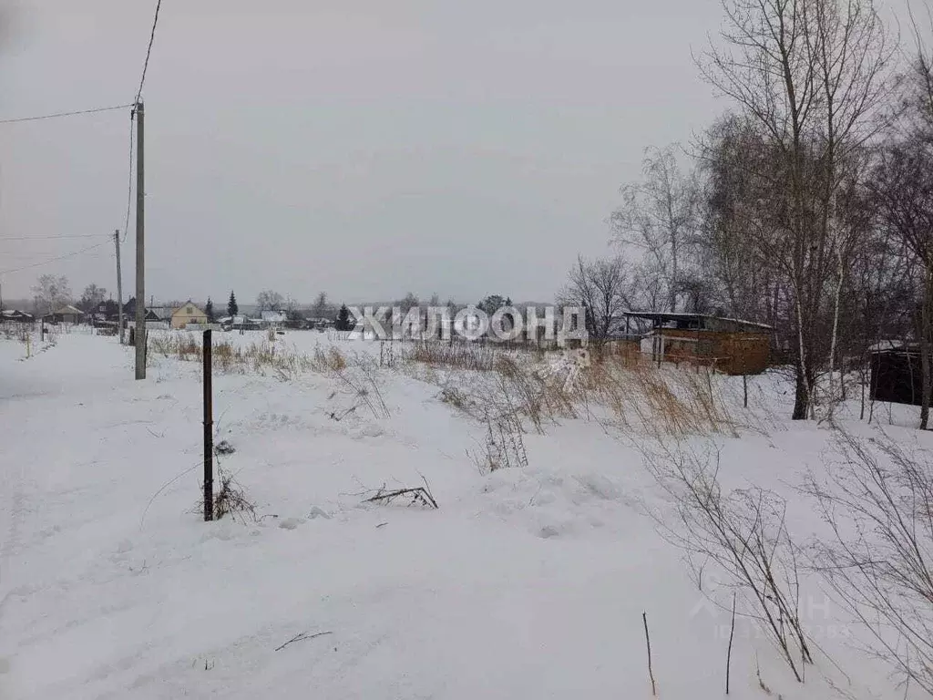 Участок в Алтайский край, Барнаул городской округ, пос. Центральный, ... - Фото 0