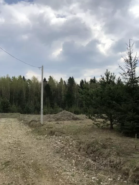 Участок в Калужская область, Малоярославецкий район, д. Ильичевка  ... - Фото 0