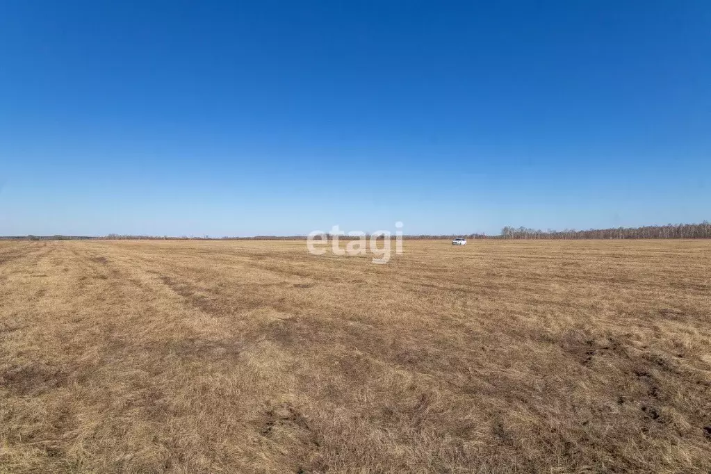 Участок в Тюменская область, Тюменский район, д. Нариманова  (10.0 ... - Фото 1