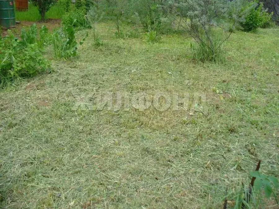 Участок в Новосибирская область, Коченево рп ул. Южная (10.0 сот.) - Фото 1