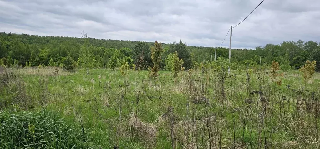 Участок в Московская область, Луховицы муниципальный округ, д. Берхино ... - Фото 0