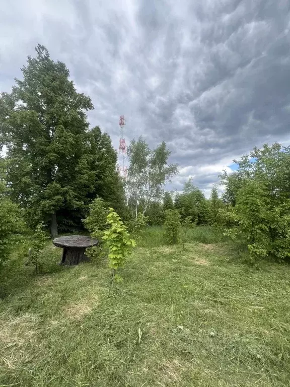 Участок в Москва д. Юрьево, ул. Липовая (10.0 сот.) - Фото 1