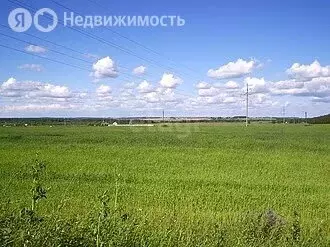 Участок в Ярославский муниципальный округ, деревня Осовые (15 м) - Фото 1
