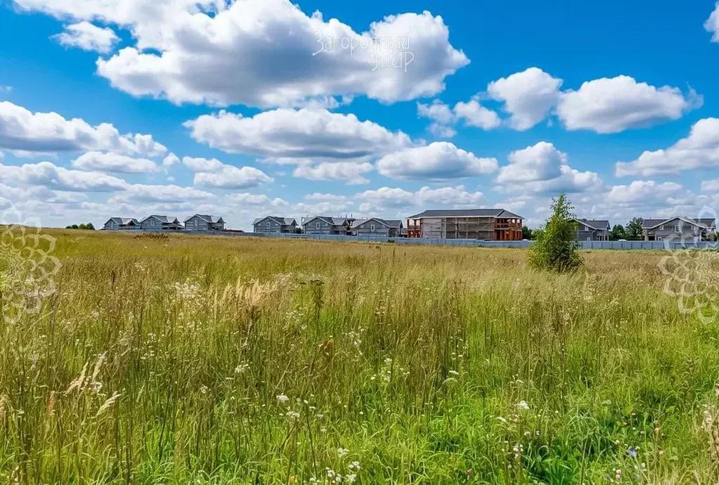 Участок в Московская область, Солнечногорск городской округ, д. ... - Фото 2