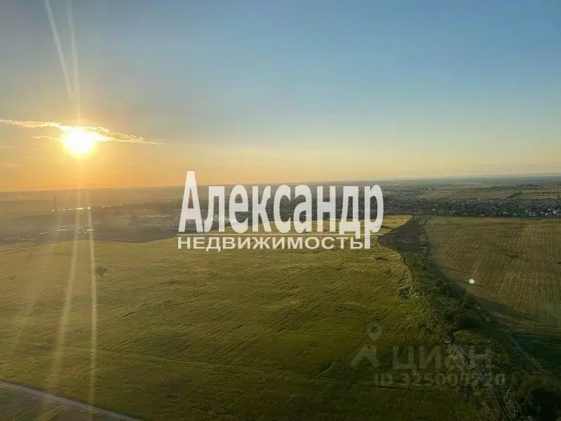 Участок в Ленинградская область, Волосовский район, Клопицкое с/пос, ... - Фото 2