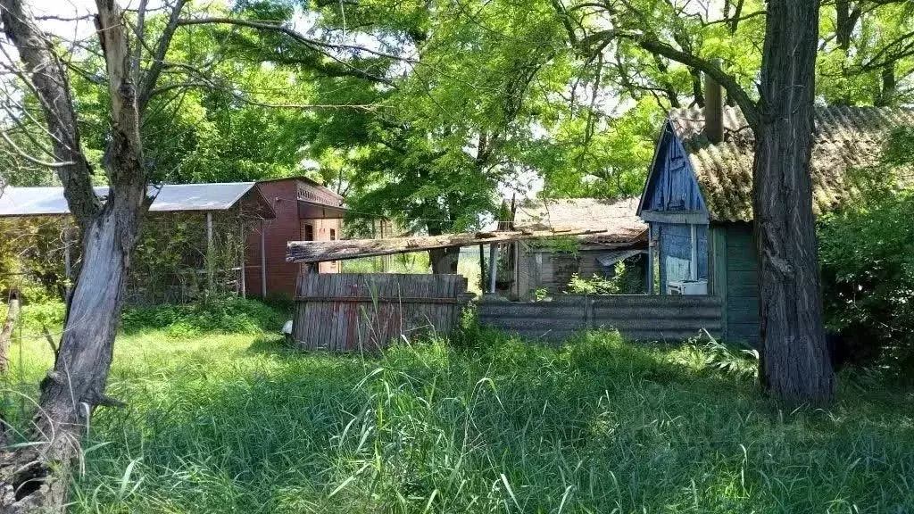 Участок в Ростовская область, Кагальницкий район, Хомутовская ст-ца ... - Фото 1