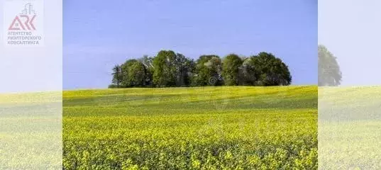 Участок в Крым, Симферопольский район, с. Трудовое ул. Зеленая (150.0 ... - Фото 1