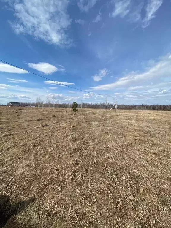 Участок 11 сот. (ИЖС) - Фото 0
