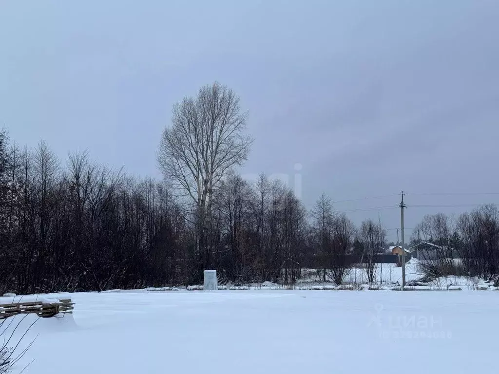Участок в Марий Эл, Звениговский район, Кокшайское с/пос, с. Кокшайск  ... - Фото 1