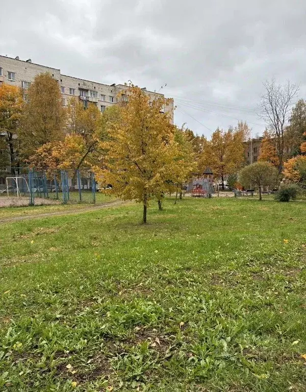 2-к кв. Санкт-Петербург ул. Солдата Корзуна, 44 (42.0 м) - Фото 2