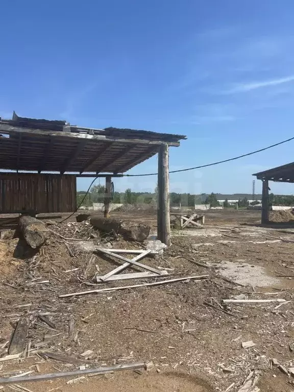 Склад в Красноярский край, Емельяновский муниципальный округ, с. ... - Фото 1