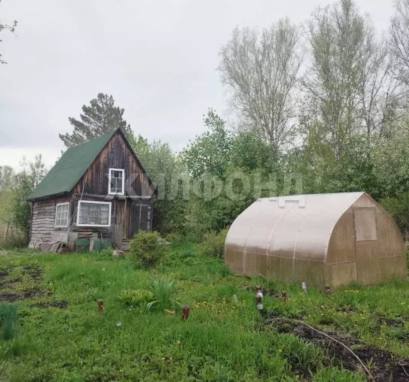 Участок в Новосибирская область, Новосибирск ул. Толстого, 125 (4.0 ... - Фото 0