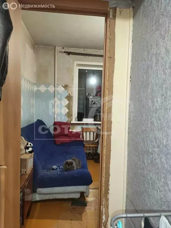 1-комнатная квартира: Воронеж, улица Юлюса Янониса, 7 (38 м) - Фото 0