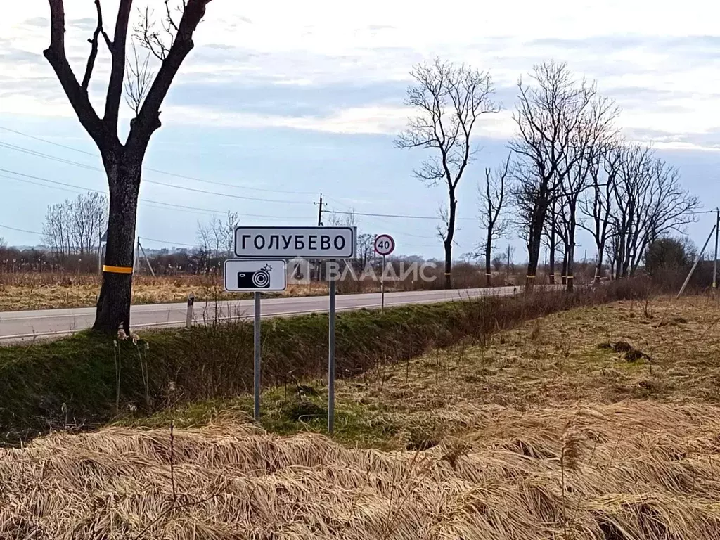 Участок в Калининградская область, Гурьевский муниципальный округ, ... - Фото 1